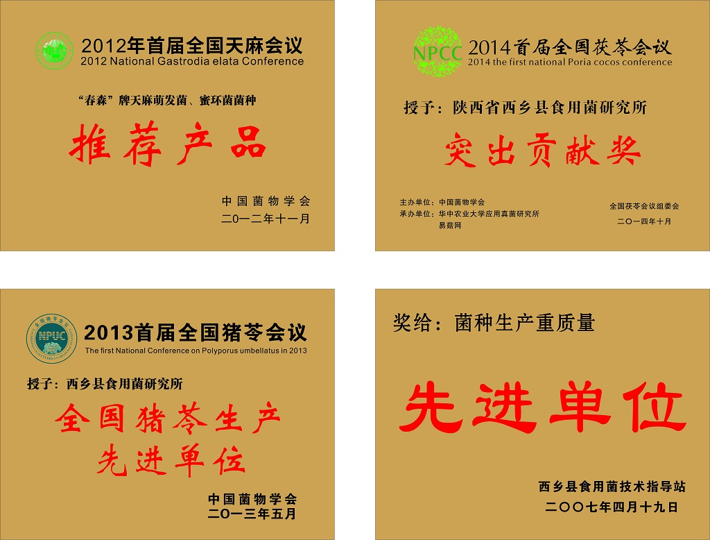 圖片關鍵詞